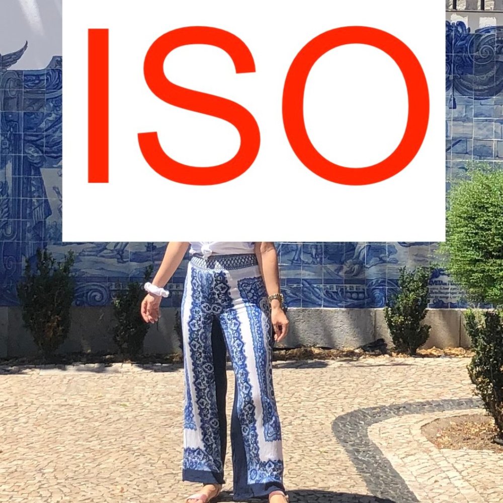 ISO INC International Concepts circa 2012 Wide Legged blue white paisley pants